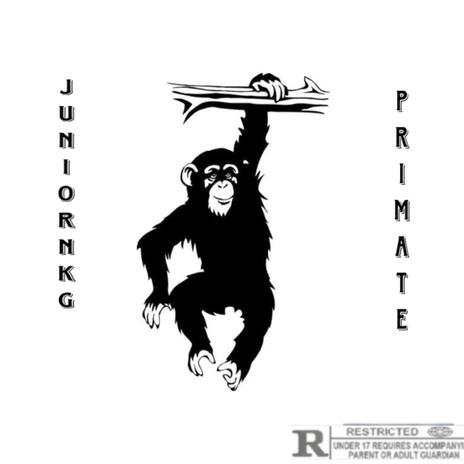 Primate | Boomplay Music