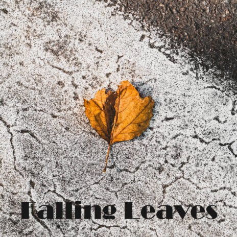 Falling Leaves | Boomplay Music