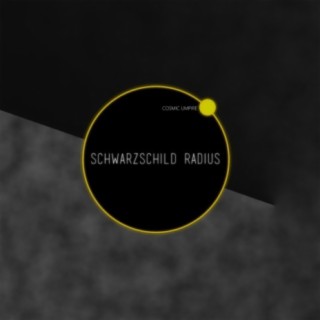 Schwarzschild Radius