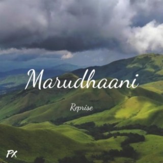 Marudhaani Reprise