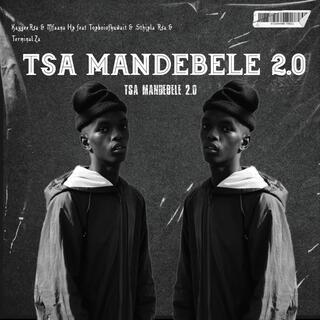 Tsa Mandebele 2.0