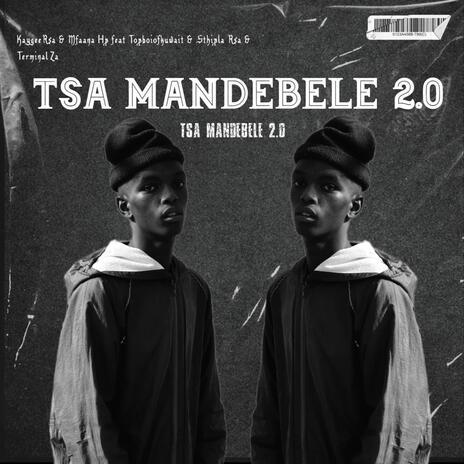 Tsa Mandebele 2.0 ft. Mfana Hp, Topboiofkuwait, Sthipla Rsa & Terminal Za | Boomplay Music