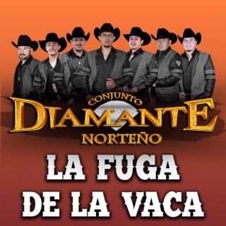 La Fuga de la vaca