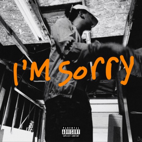 i'm sorry | Boomplay Music