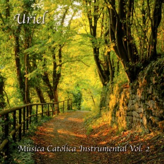 Música Católica Instrumental Vol. 2