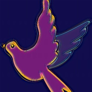 Peace, pigeon