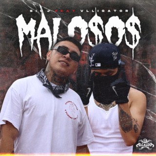 Malosos ft. Vlligator lyrics | Boomplay Music