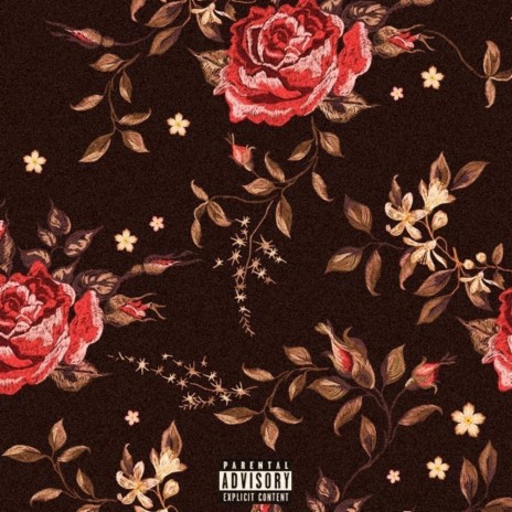 Rose im Bando | Boomplay Music