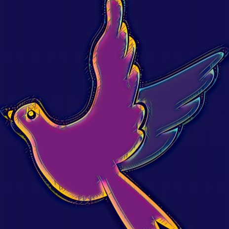 Peace, pigeon | Boomplay Music