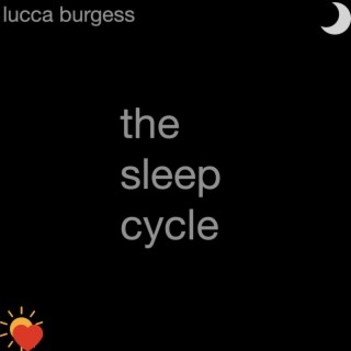 the sleep cycle