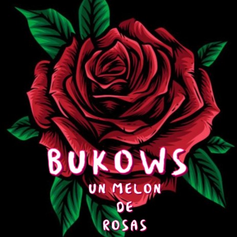 Un melon de rosas | Boomplay Music