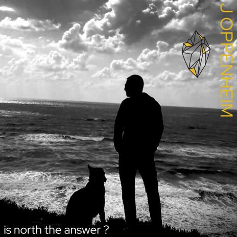 IS NORTH THE ANSWER ? | Boomplay Music