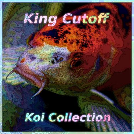 Koi Collection | Boomplay Music