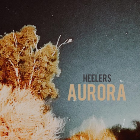 Hollister aurora outlet