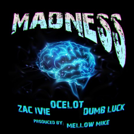 Madness ft. Zac Ivie & Dumb Luck | Boomplay Music