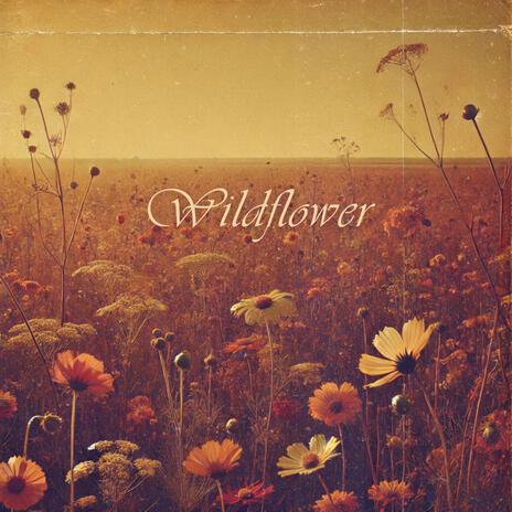 Wildflower | Boomplay Music