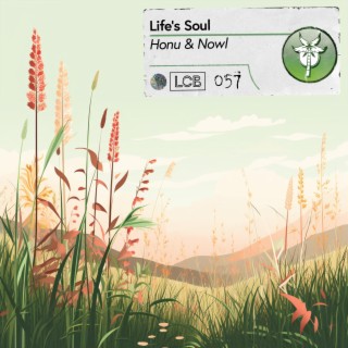 Life's Soul