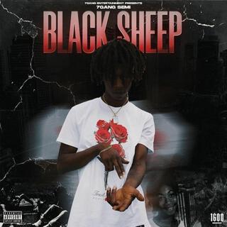 Black Sheep