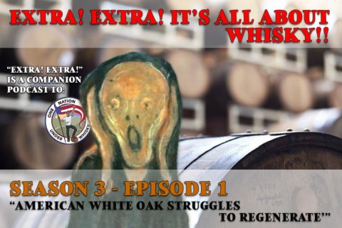 Extra! Extra! S3E1 -- ”American White Oak struggles to regenerate”