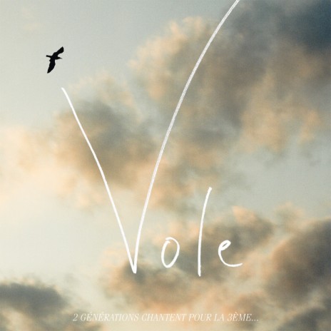 Vole (2 générations chantent pour la 3ème) ft. M, Laurent Voulzy, Nolwenn Leroy, Carla Bruni & Jeanne Cherhal | Boomplay Music