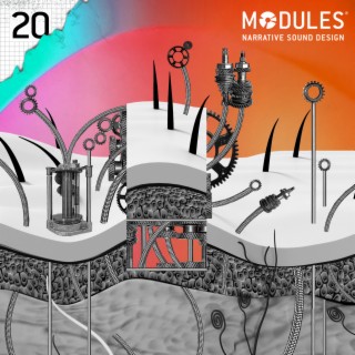 Modules 20