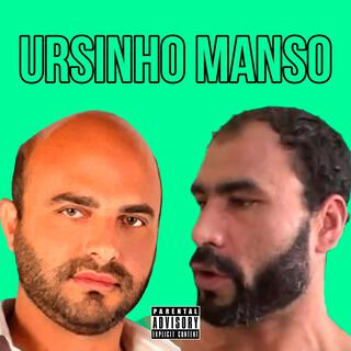 Ursinho Manso