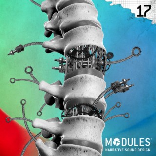 Modules 17