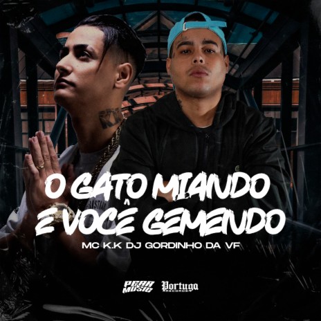 O Gato Miando e Você Gemendo ft. Dj Gordinho Da VF | Boomplay Music