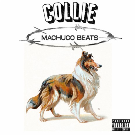 Collie Reggaeton beat | Boomplay Music