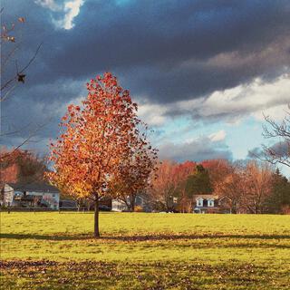 Autumn Afternoon