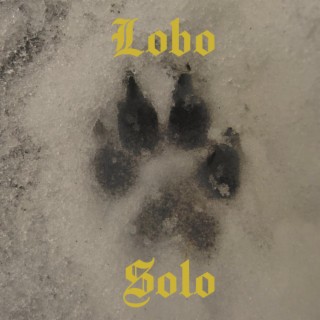Lobo Solo