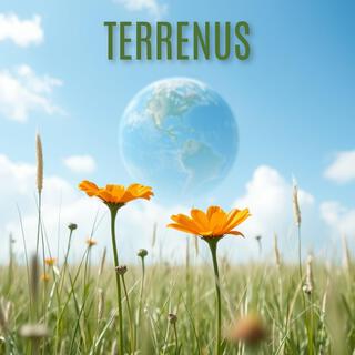 Terrenus