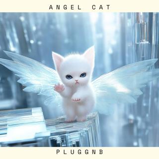 angel cat pluggnb