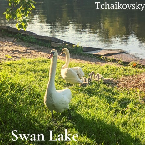 Swan Lake: White Swan, Pas de deux (Violin Solo)