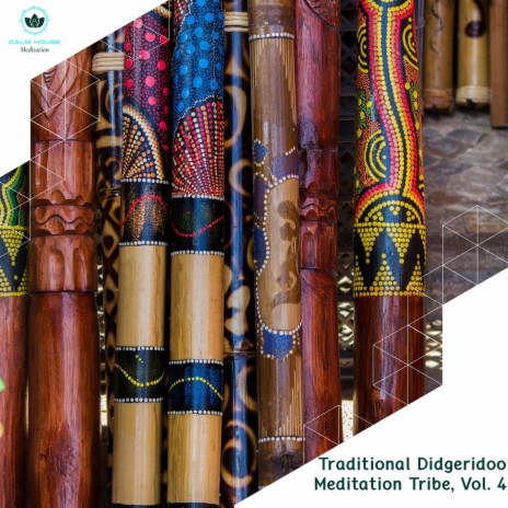 South Tribe Didgerdioo (Tribal Drumming Sounds) (Original Mix) | Boomplay Music