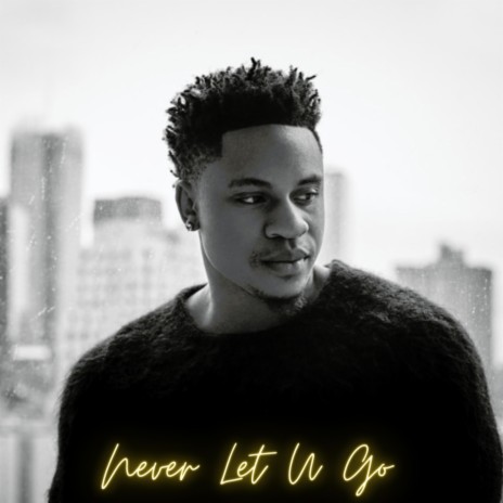 Never Let U Go | Boomplay Music