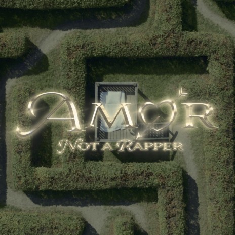 Amor ft. Not a Producer