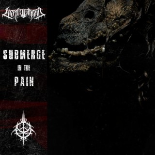 Submerge in the Pain lyrics | Boomplay Music