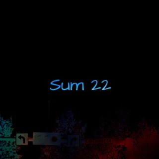Sum 22 (Instrumentals)