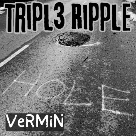 Vermin | Boomplay Music