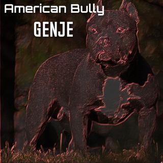 American Bully