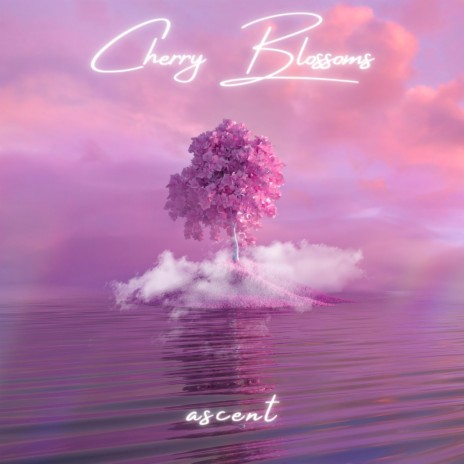 Cherry Blossoms | Boomplay Music