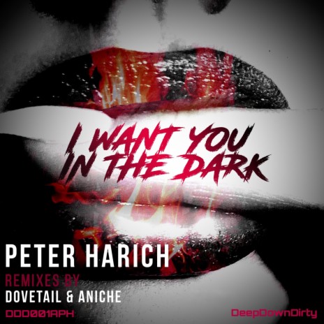 I Want You In The Dark (Aniche Remix) | Boomplay Music