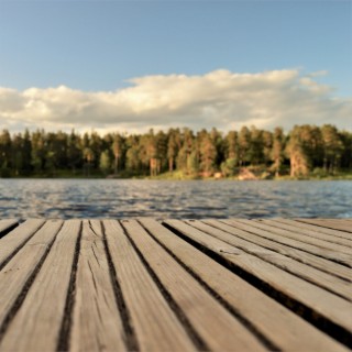 The Dock