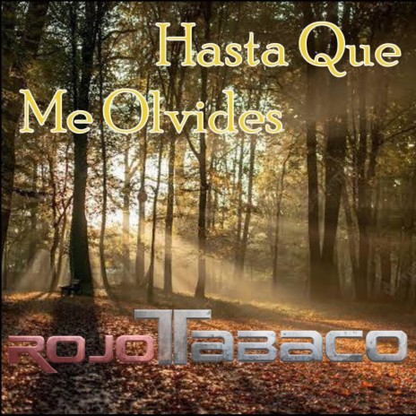 Hasta Que Me Olvides | Boomplay Music