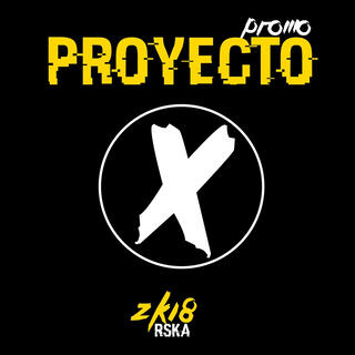 PROYECTO X