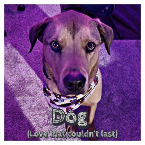 Dog (Love that couldn't last) | Boomplay Music