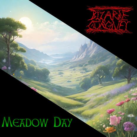 Meadow Day