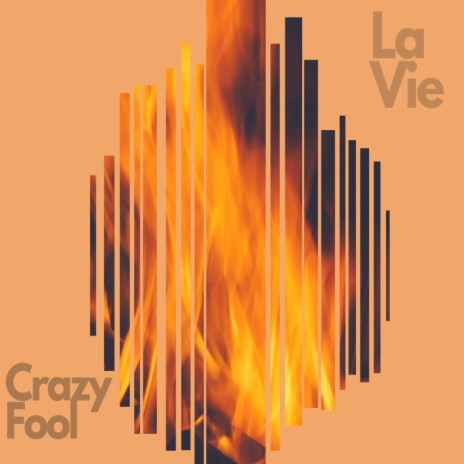 Crazy Fool | Boomplay Music