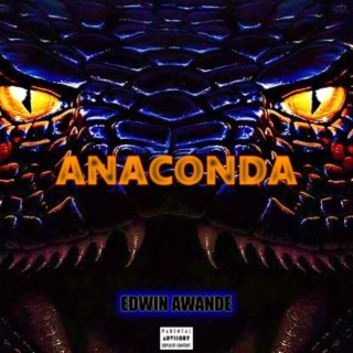 Anaconda (Radio Edit)